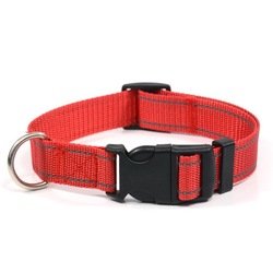 Burgundy nylon dog collar